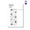 کتاب داستان انگلیسی استارتر Monkeying Around - تصویر 7