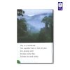 کتاب داستان انگلیسی سطح3 Let's Go to the Rainforest - تصویر 3