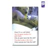کتاب داستان انگلیسی سطح3 Wonderful Wild Animals - تصویر 3