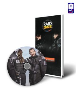 Raid-Dingue
