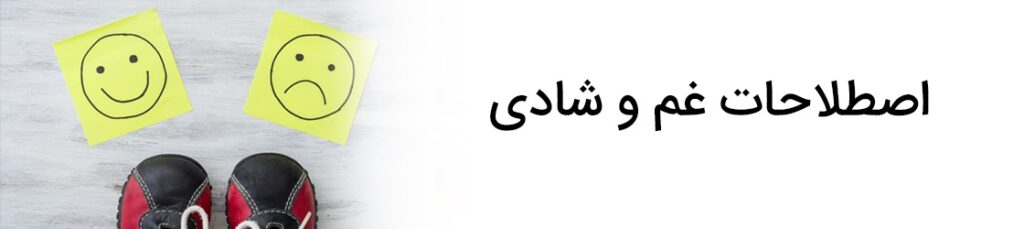 اصطلاحات غم و شادی