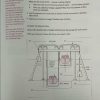 کتاب IELTS PRACTICE TESTS Peter May - تصویر 5