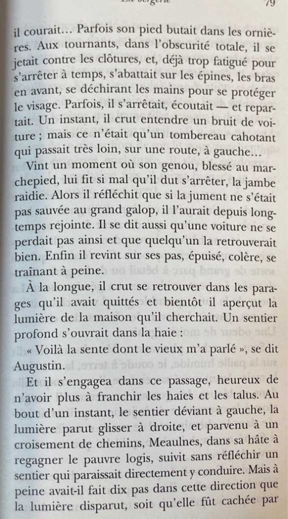 رمان فرانسوی Le grand Meaulnes