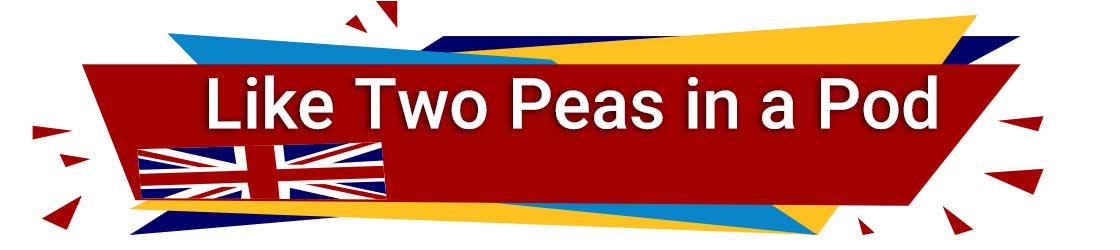 معنی like two peas in a pod