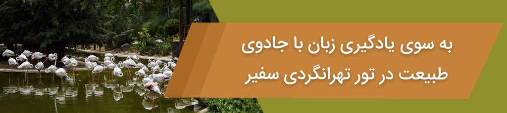 تور تهران گردی با سفیر، تجربه‌ای ناب ازتماشای پرندگان و یادگیری زبان انگلیسی