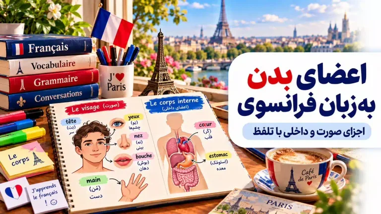 اعضای بدن به زبان فرانسوی | اجزای صورت و داخلی با تلفظ