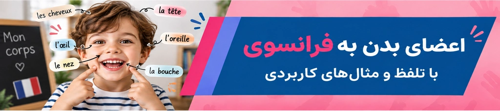 اعضای بدن به زبان فرانسوی | اجزای صورت و داخلی با تلفظ